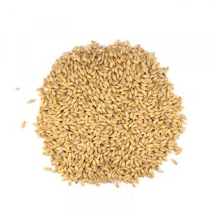 base malt, Dingemans, pilsen malt