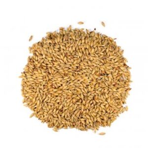 kilned malt, Dingemans,AMBER / AROMATIC malt