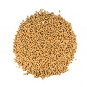 speciality malt,
Dingemans,
Wheat-malt