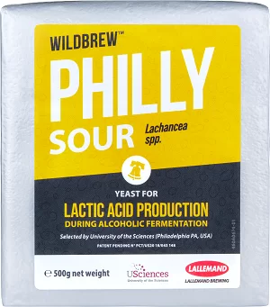 WildBrew Philly Sour